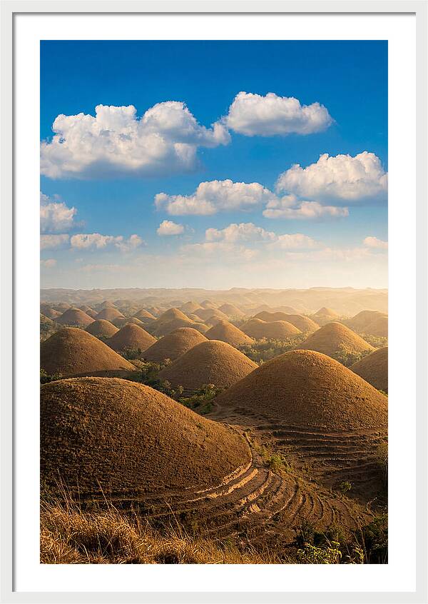 Chocolate Hills At Golden Hour