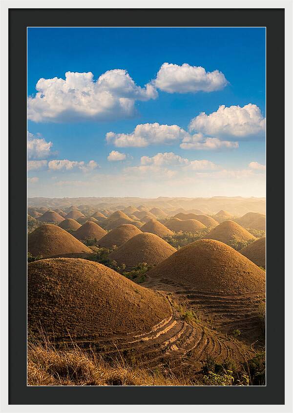 Chocolate Hills At Golden Hour