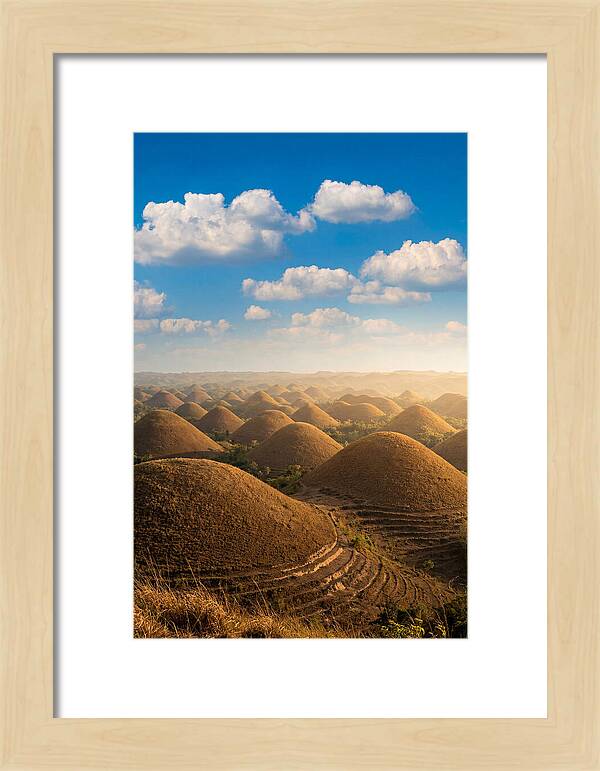 Chocolate Hills At Golden Hour