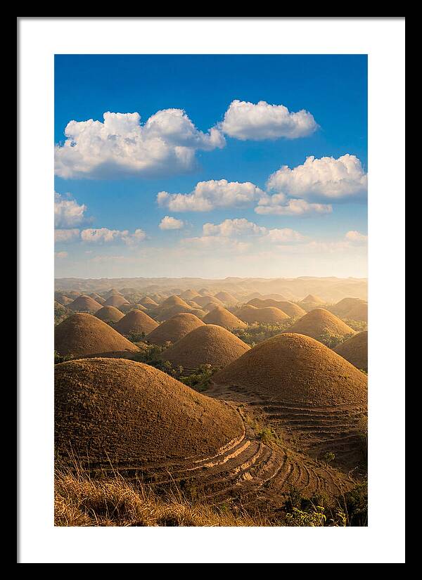Chocolate Hills At Golden Hour
