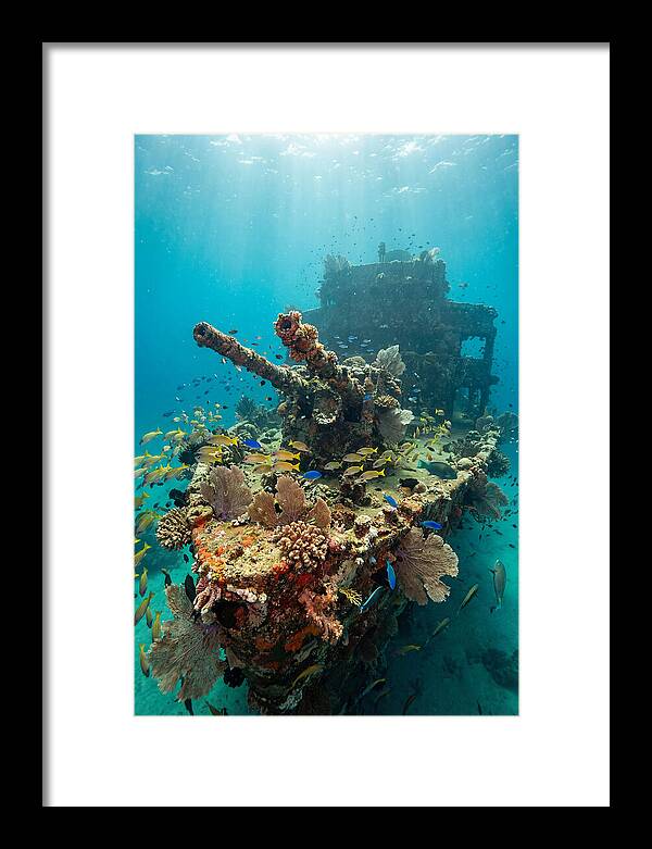 Chuuk Lagoon Underwater Wreck