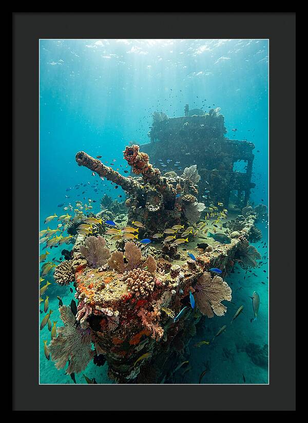 Chuuk Lagoon Underwater Wreck