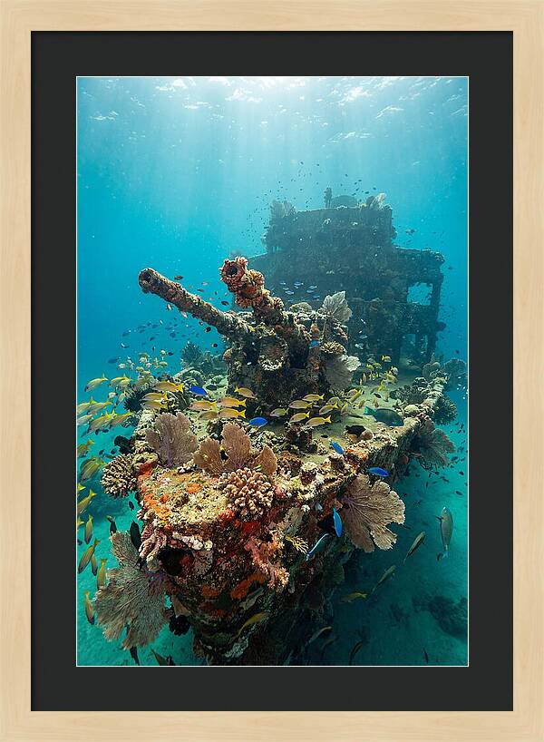 Chuuk Lagoon Underwater Wreck