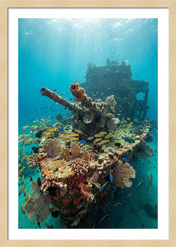 Chuuk Lagoon Underwater Wreck