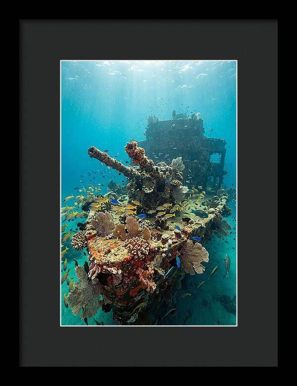 Chuuk Lagoon Underwater Wreck