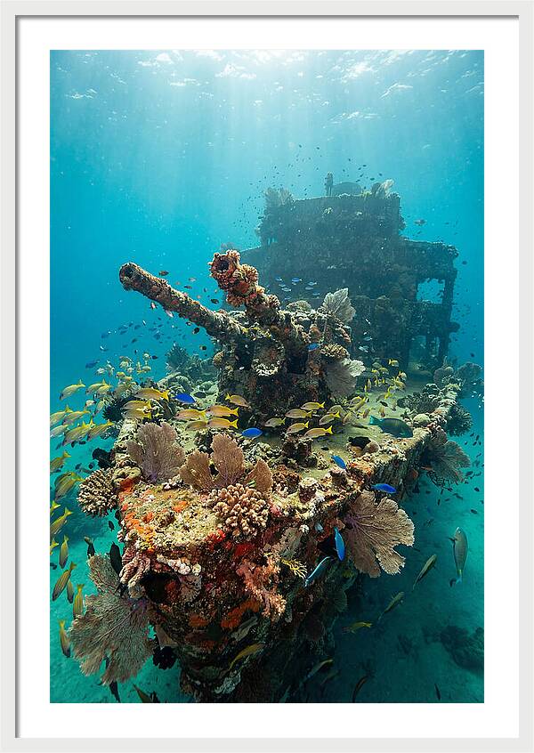 Chuuk Lagoon Underwater Wreck