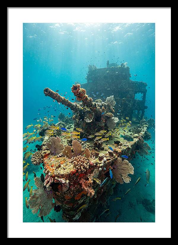 Chuuk Lagoon Underwater Wreck