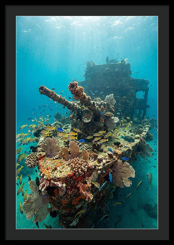 Chuuk Lagoon Underwater Wreck