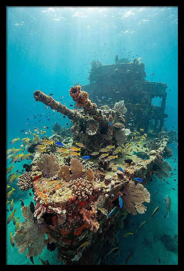 Chuuk Lagoon Underwater Wreck