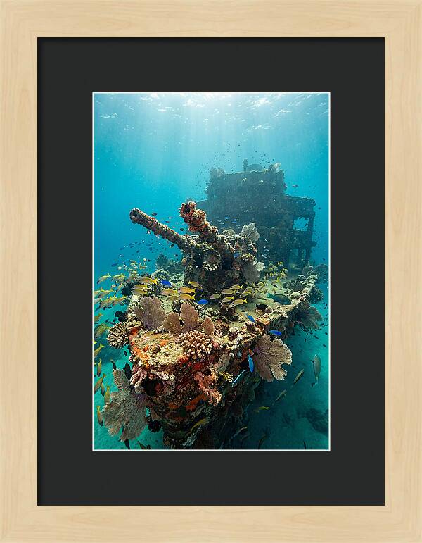 Chuuk Lagoon Underwater Wreck