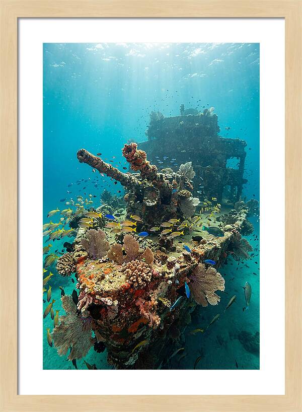 Chuuk Lagoon Underwater Wreck