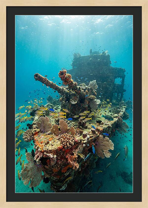 Chuuk Lagoon Underwater Wreck