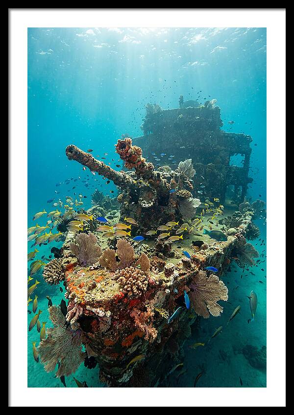 Chuuk Lagoon Underwater Wreck