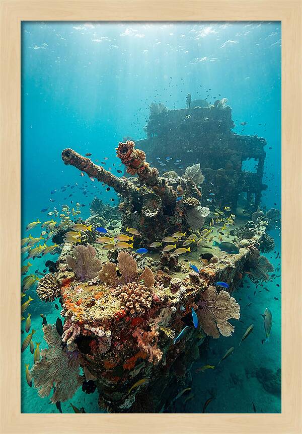 Chuuk Lagoon Underwater Wreck