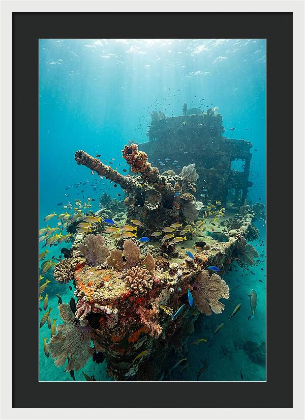 Chuuk Lagoon Underwater Wreck