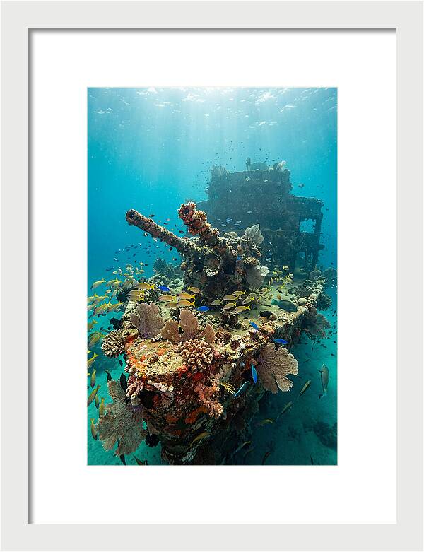 Chuuk Lagoon Underwater Wreck