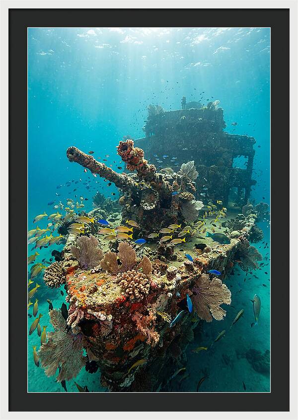 Chuuk Lagoon Underwater Wreck