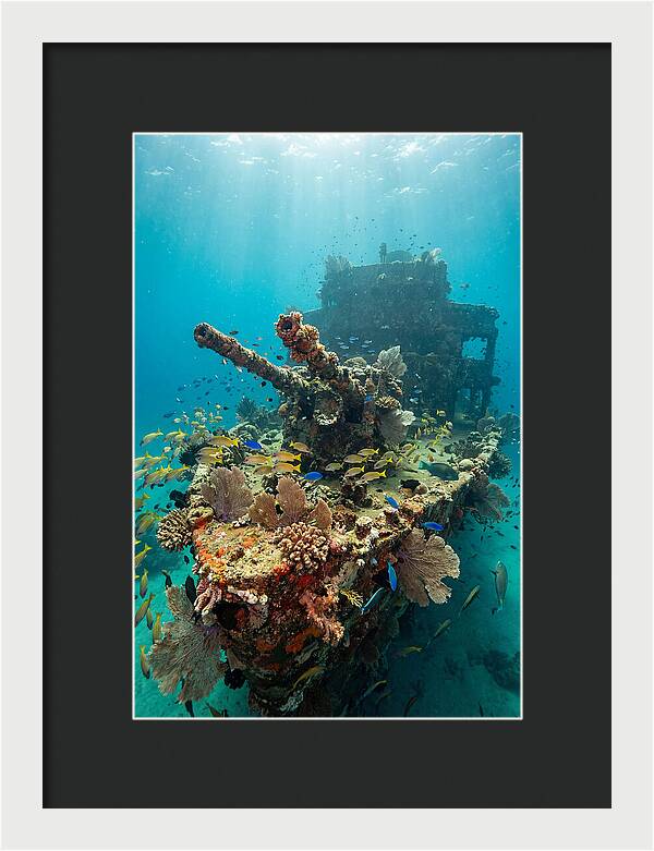 Chuuk Lagoon Underwater Wreck