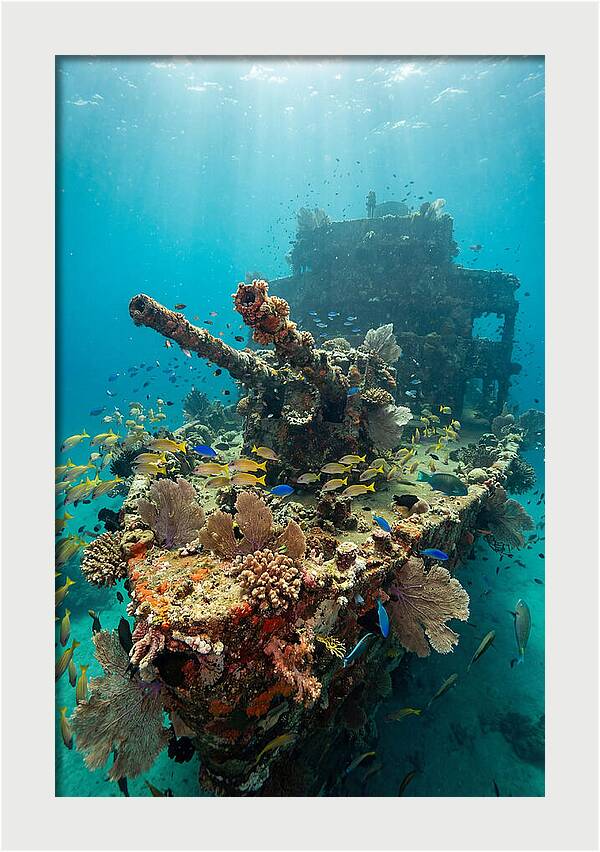 Chuuk Lagoon Underwater Wreck