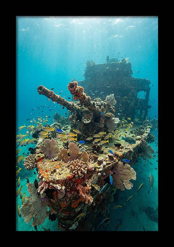 Chuuk Lagoon Underwater Wreck