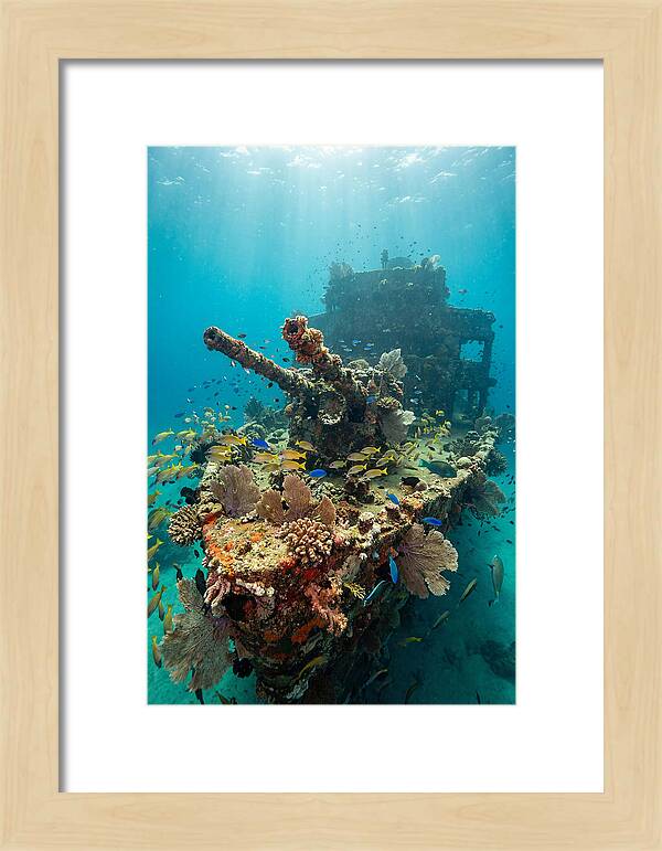 Chuuk Lagoon Underwater Wreck