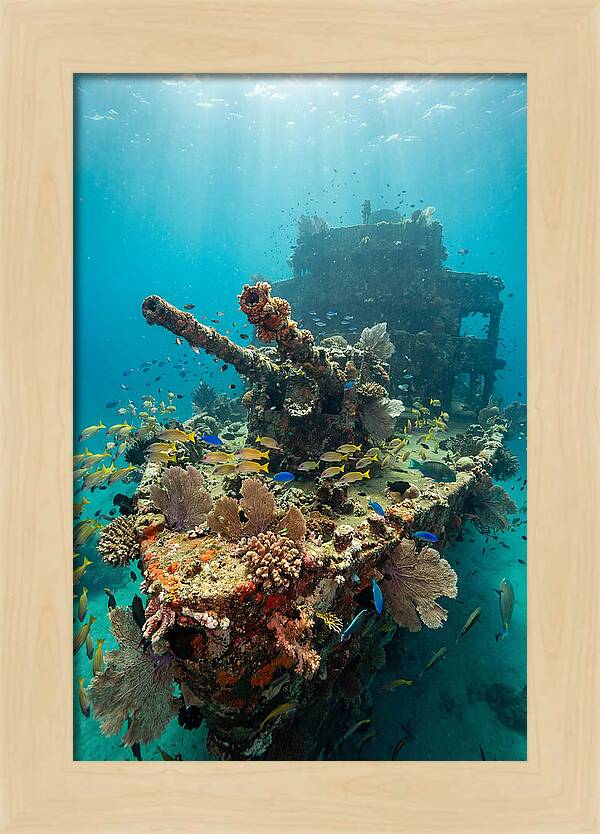 Chuuk Lagoon Underwater Wreck