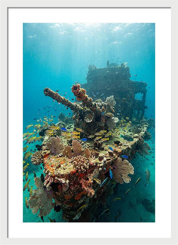 Chuuk Lagoon Underwater Wreck