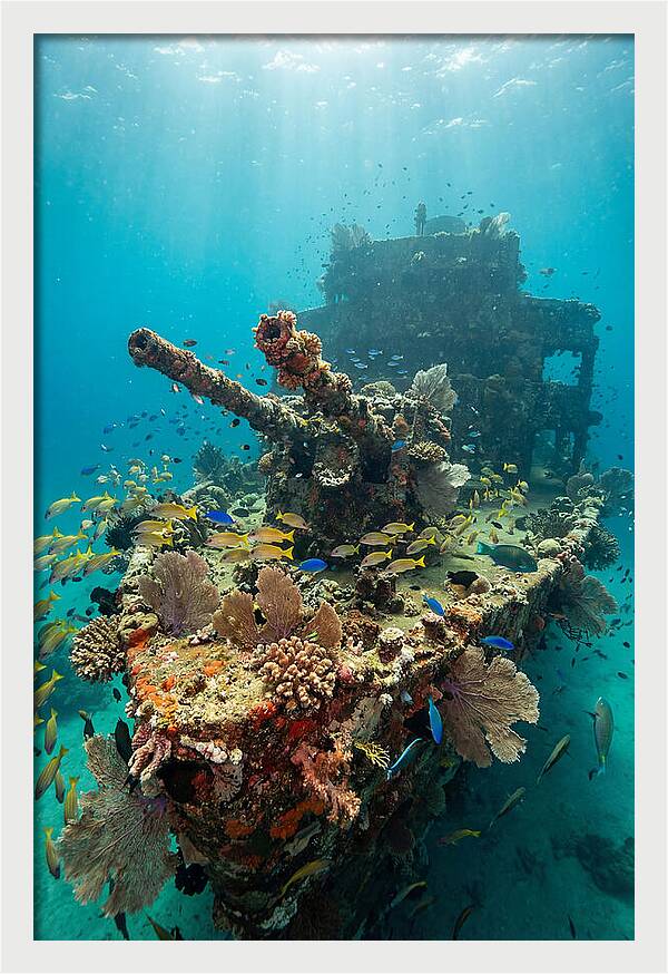 Chuuk Lagoon Underwater Wreck