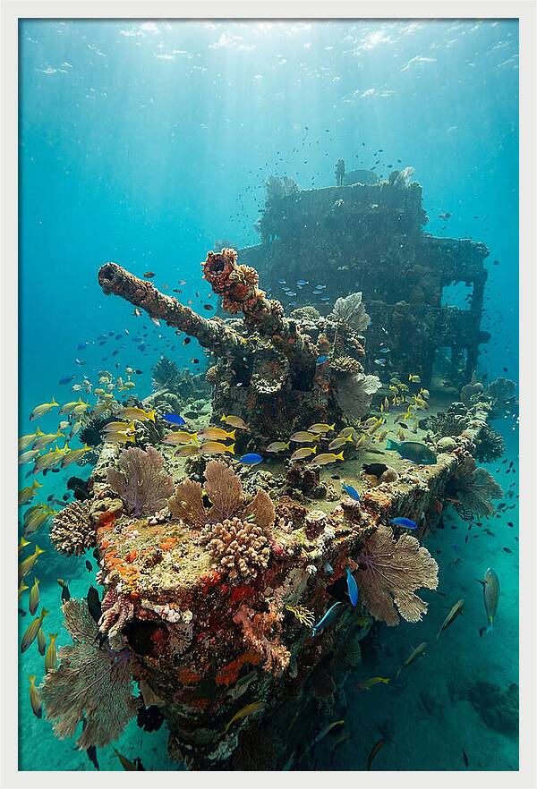 Chuuk Lagoon Underwater Wreck