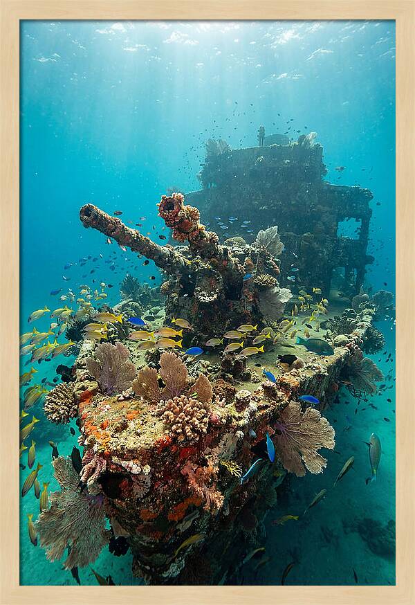 Chuuk Lagoon Underwater Wreck