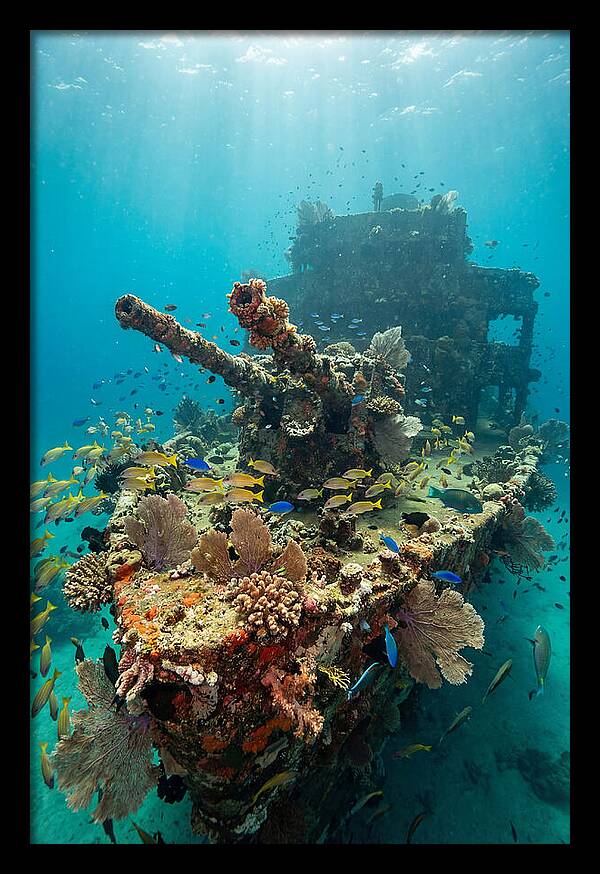 Chuuk Lagoon Underwater Wreck
