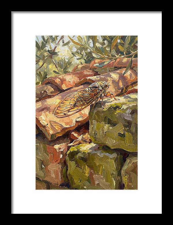 Cicada Among Mediterranean Stones