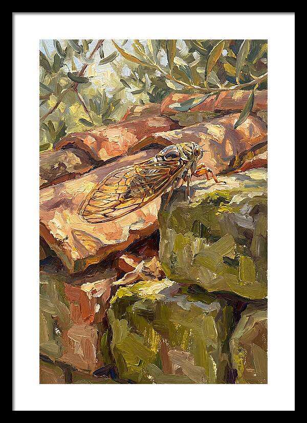Cicada Among Mediterranean Stones