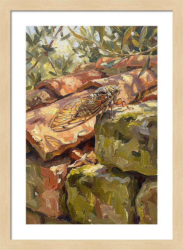 Cicada Among Mediterranean Stones