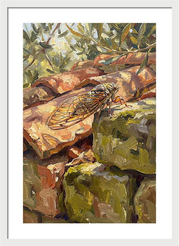 Cicada Among Mediterranean Stones