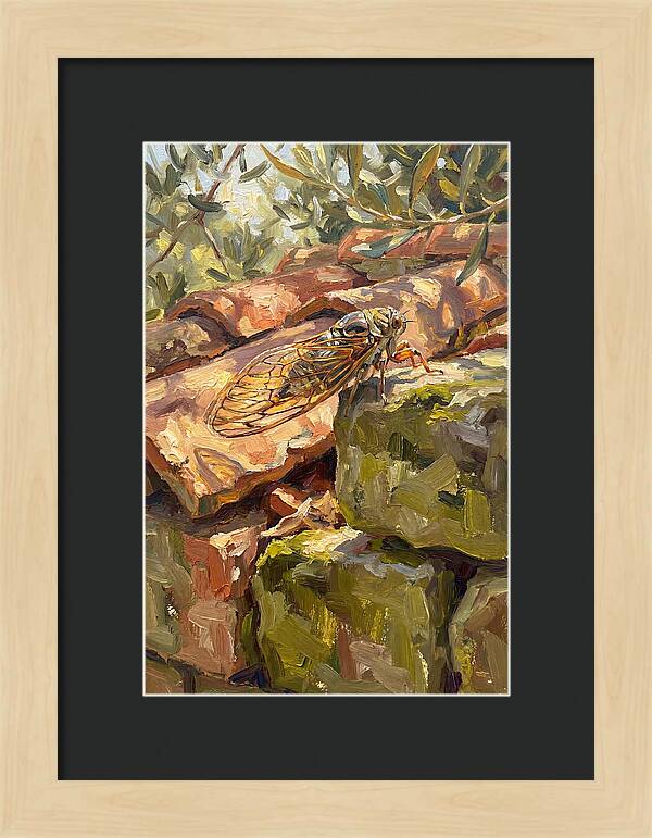 Cicada Among Mediterranean Stones