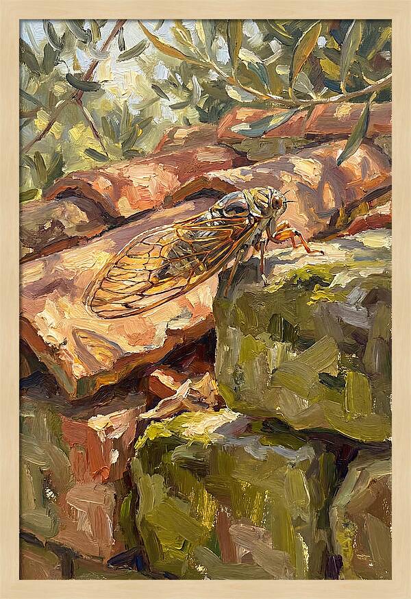 Cicada Among Mediterranean Stones