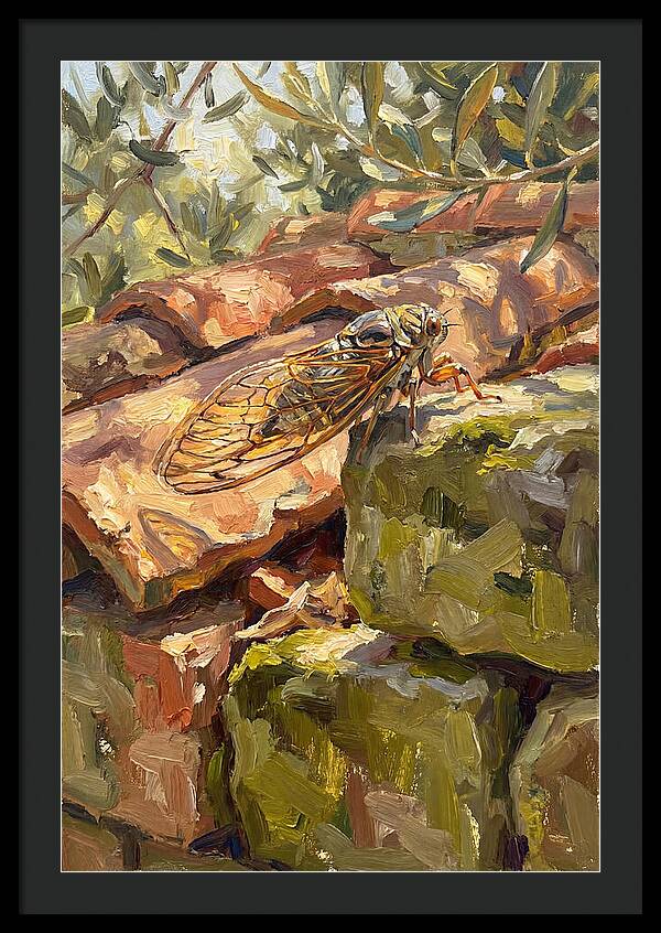 Cicada Among Mediterranean Stones