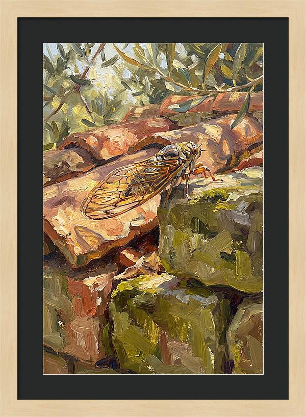 Cicada Among Mediterranean Stones