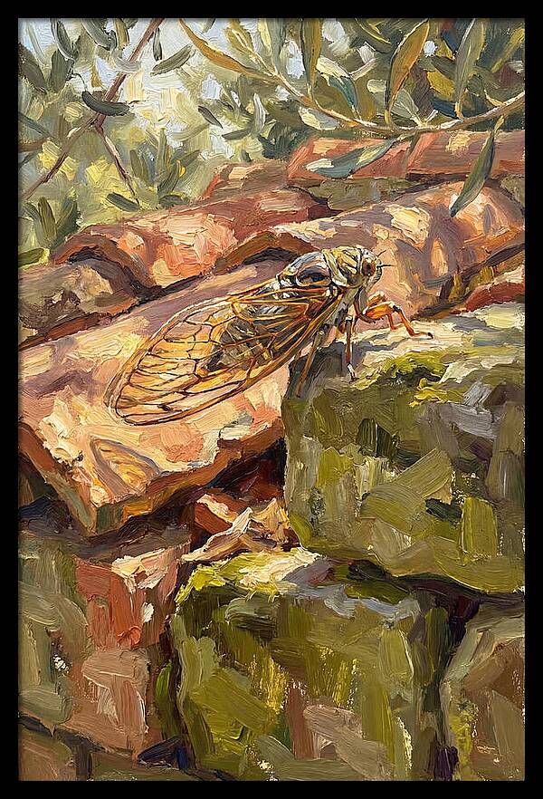 Cicada Among Mediterranean Stones