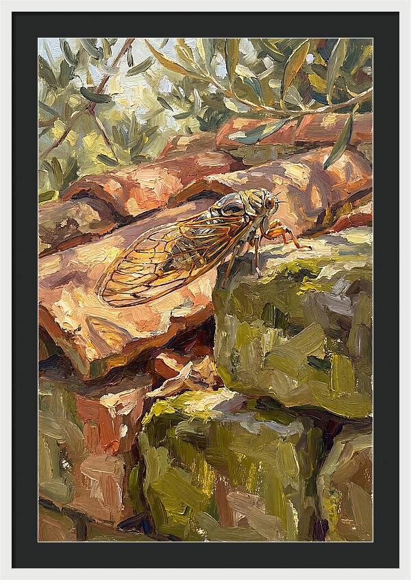 Cicada Among Mediterranean Stones