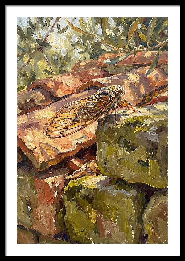 Cicada Among Mediterranean Stones
