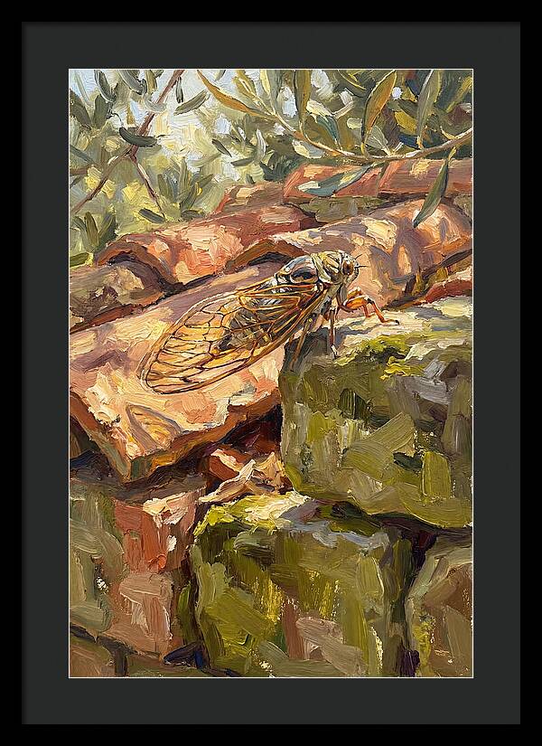 Cicada Among Mediterranean Stones