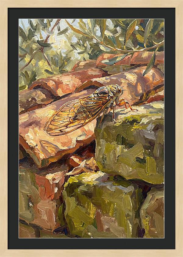 Cicada Among Mediterranean Stones