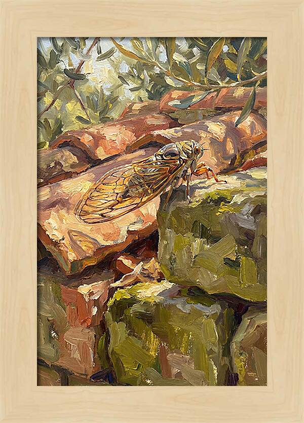Cicada Among Mediterranean Stones