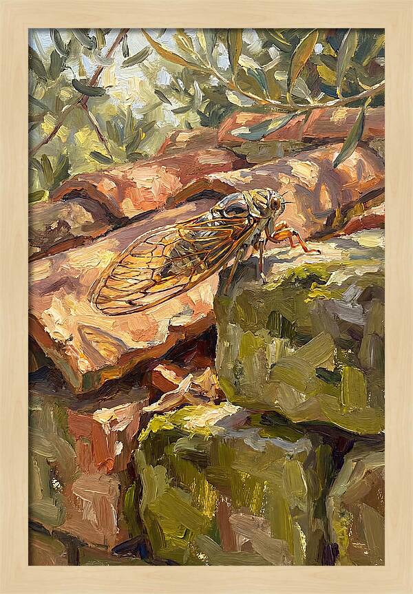 Cicada Among Mediterranean Stones