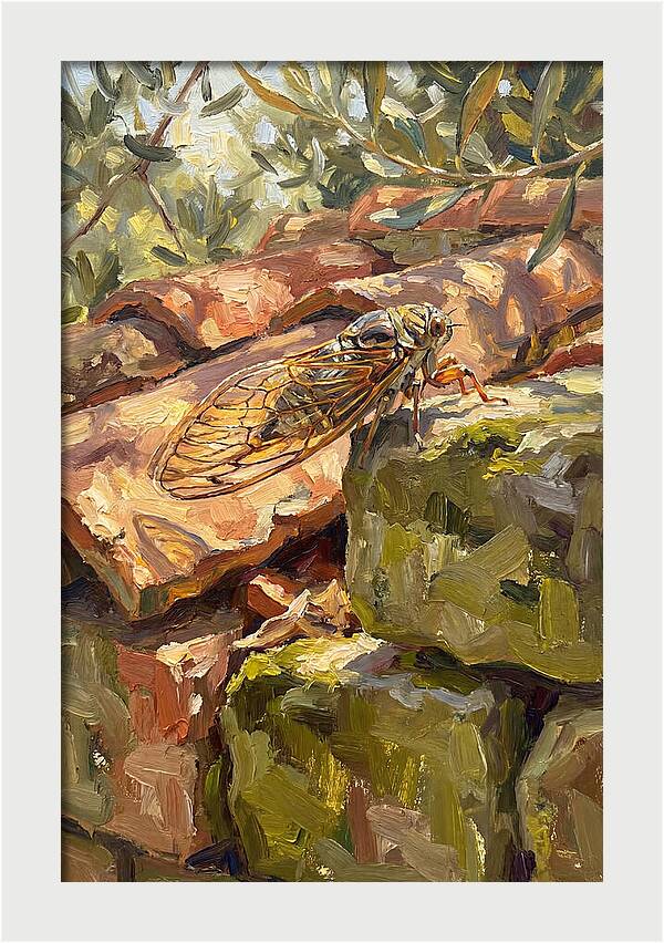 Cicada Among Mediterranean Stones