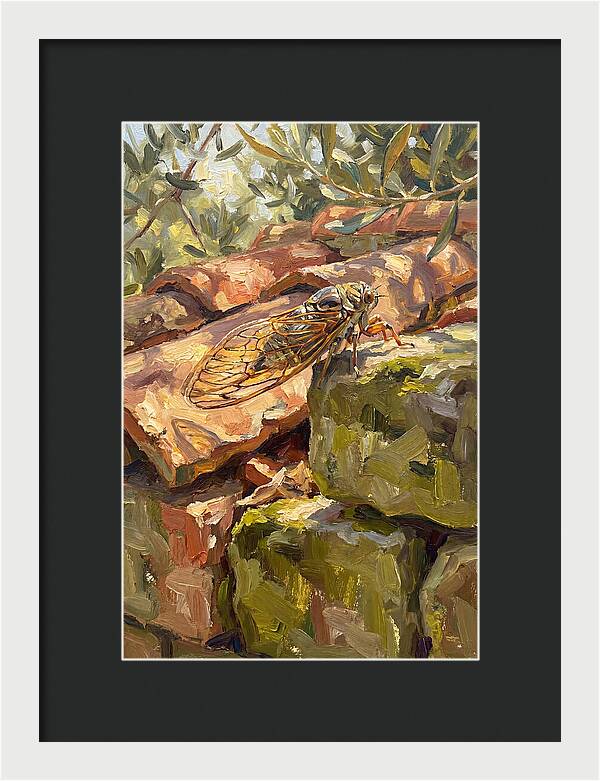 Cicada Among Mediterranean Stones