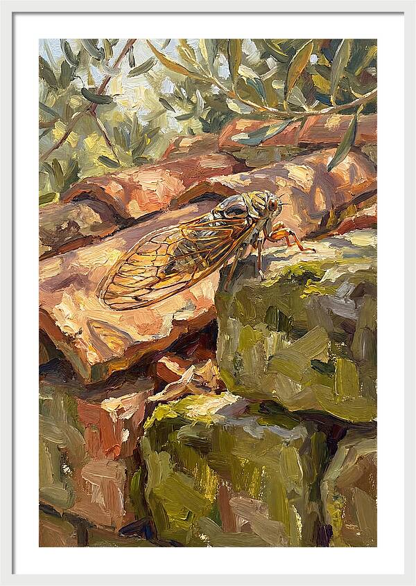 Cicada Among Mediterranean Stones
