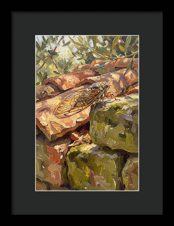 Cicada Among Mediterranean Stones